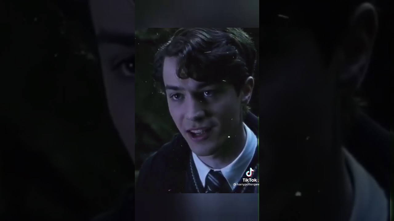 гарри поттер в тик ток