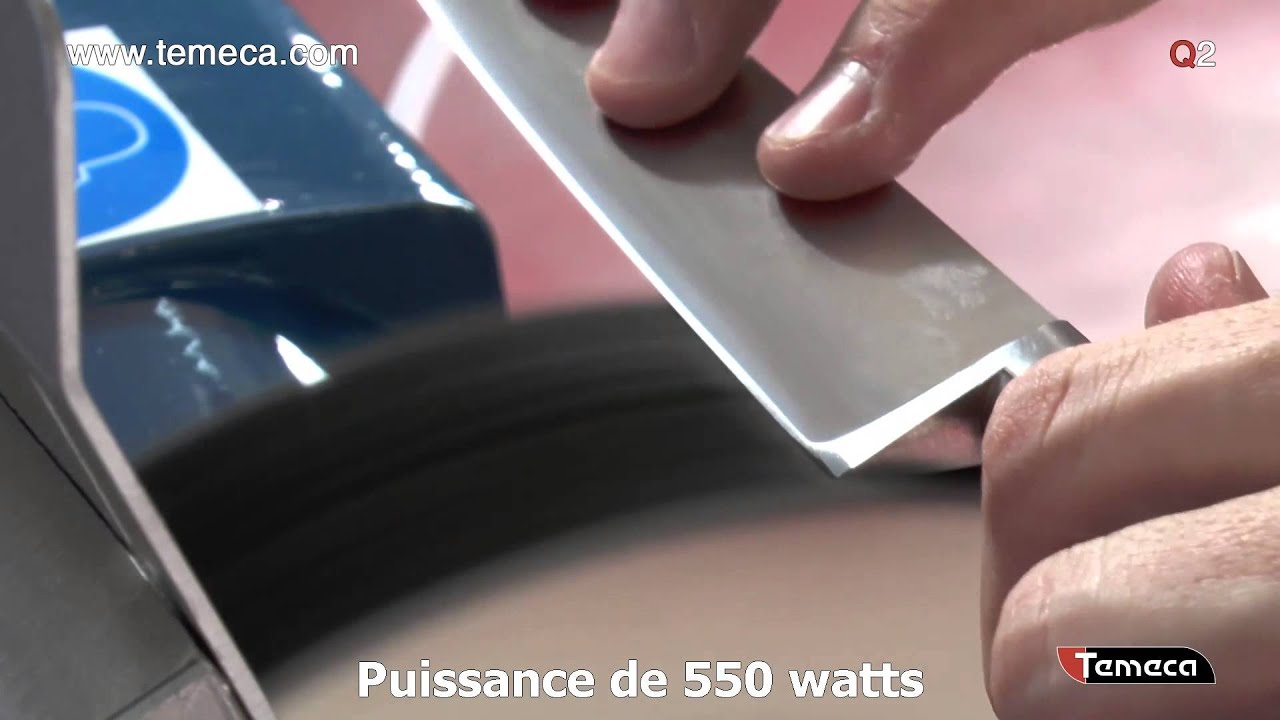 Affuteuse des couteaux - Modele Q2 - TEMECA