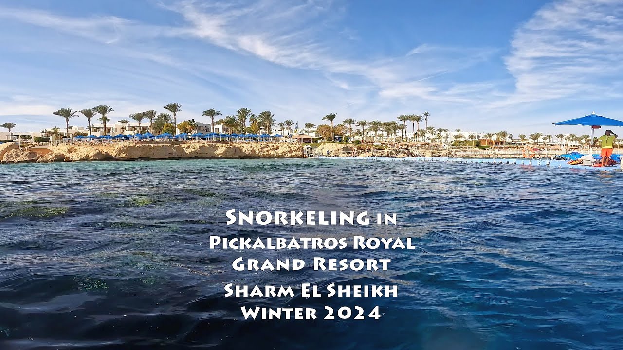 4K Underwater Video: Snorkeling in Pickalbatros Royal Grand Resort, in Sharm El Sheikh, Egypt