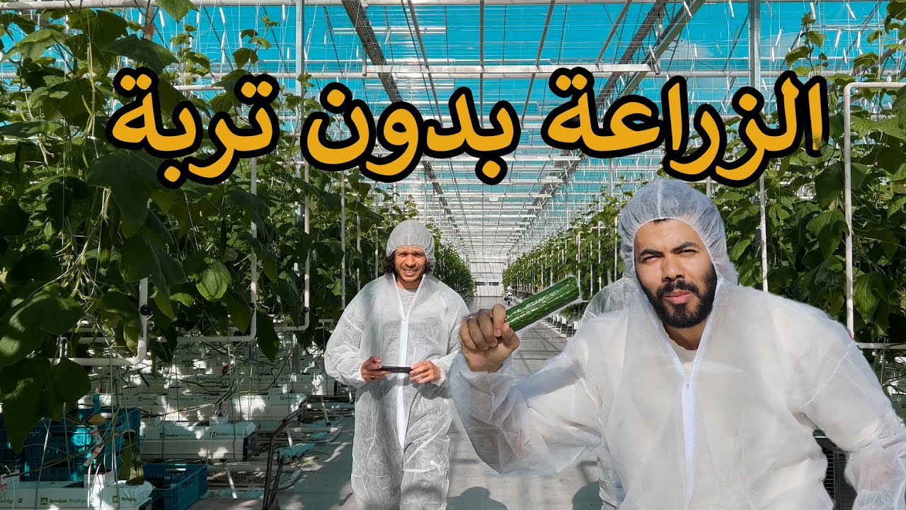 إنبهرت بمستقبل الزراعة في أوروبا | يزرعون بدون تربة - فلاحيين من المستقبل