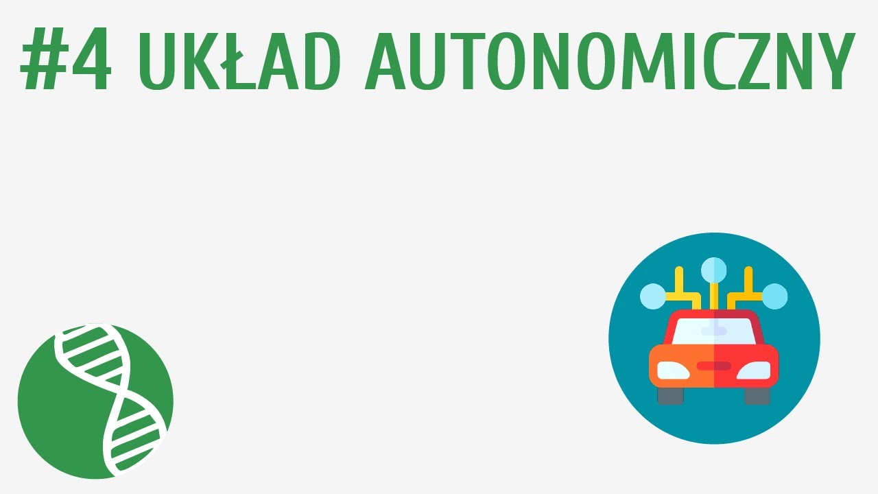 Układ autonomiczny #4 [ Regulacja nerwowo-hormonalna ]