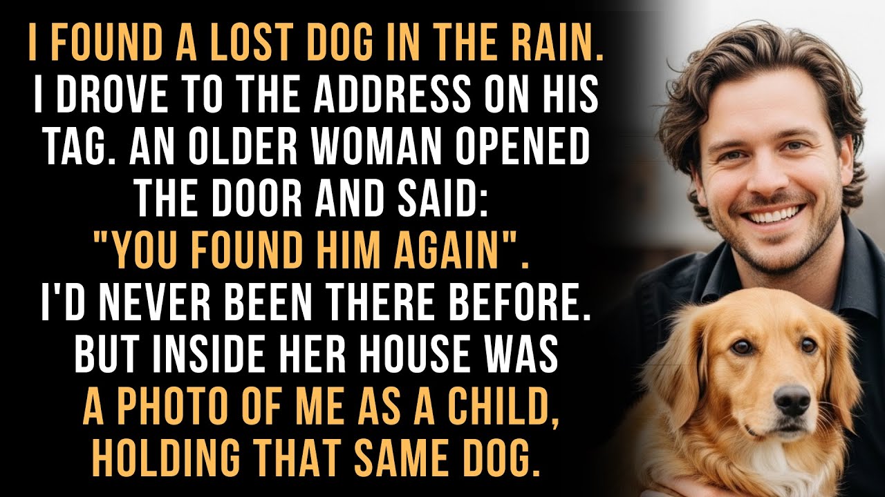 I Found a Lost Dog. Its Tag Had an Address That Changed My Life.