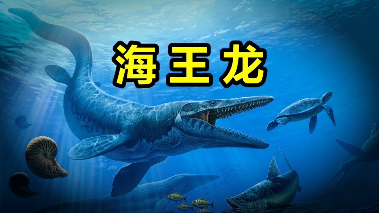 海王龍的崛起：開局一條鯤，進化全靠吞