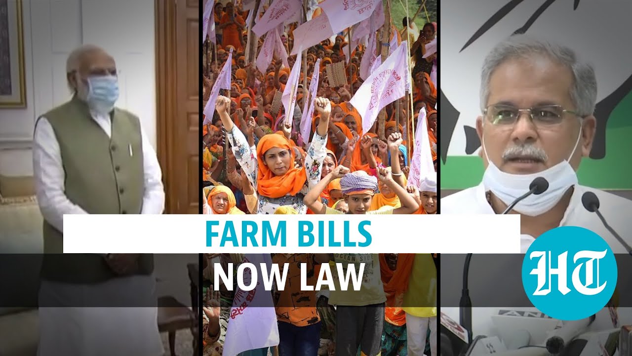 Farm bills become law amid protests: PM Modi justifies, Akalis say 'dark day'