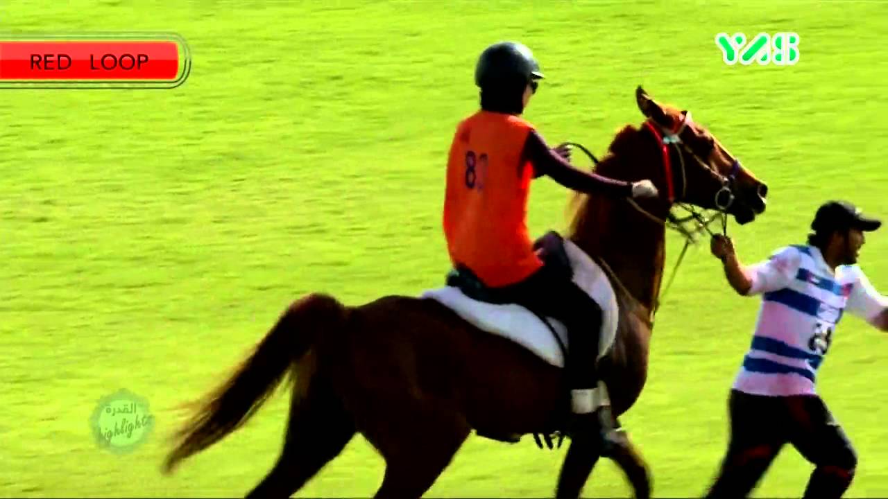 برنامج القدرة - كأس ولي العهد ١٥ مارس ٢٠١٦