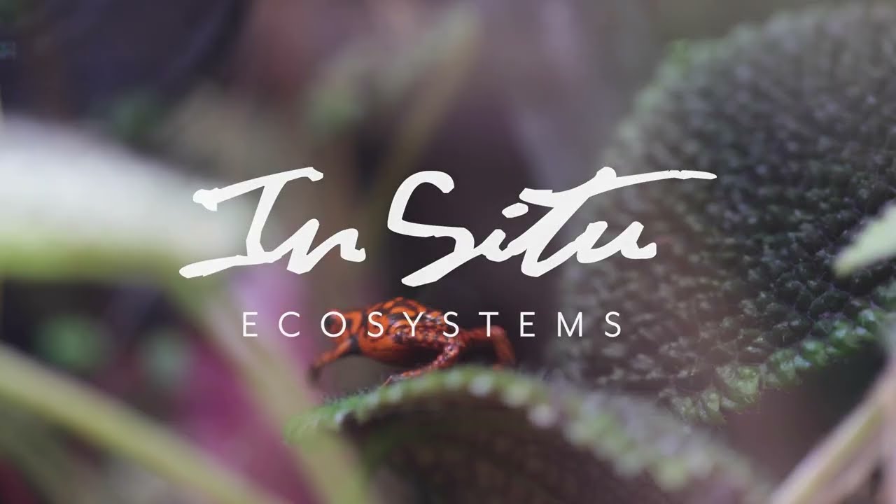 Importance of Drainage -  In Situ Ecosystems