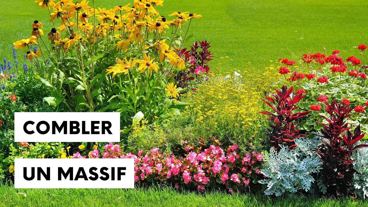 Comment combler un massif floral en été