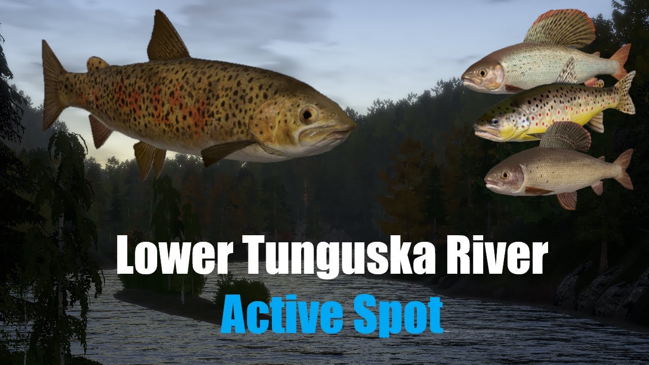RF4 Spot Lower Tunguska River. Active Spot Lenok Brown Trout East Syberian/Arctic Grayling!