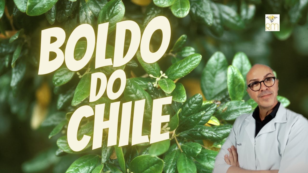 BOLDO DO CHILE -|F&Iacute;GADO |CORA&Ccedil;&Atilde;O |HEPATITE |GONORREIA |LDL |ANTISS&Eacute;PTICO |ANTI-INFLAMAT&Oacute;RIO |CABELOS