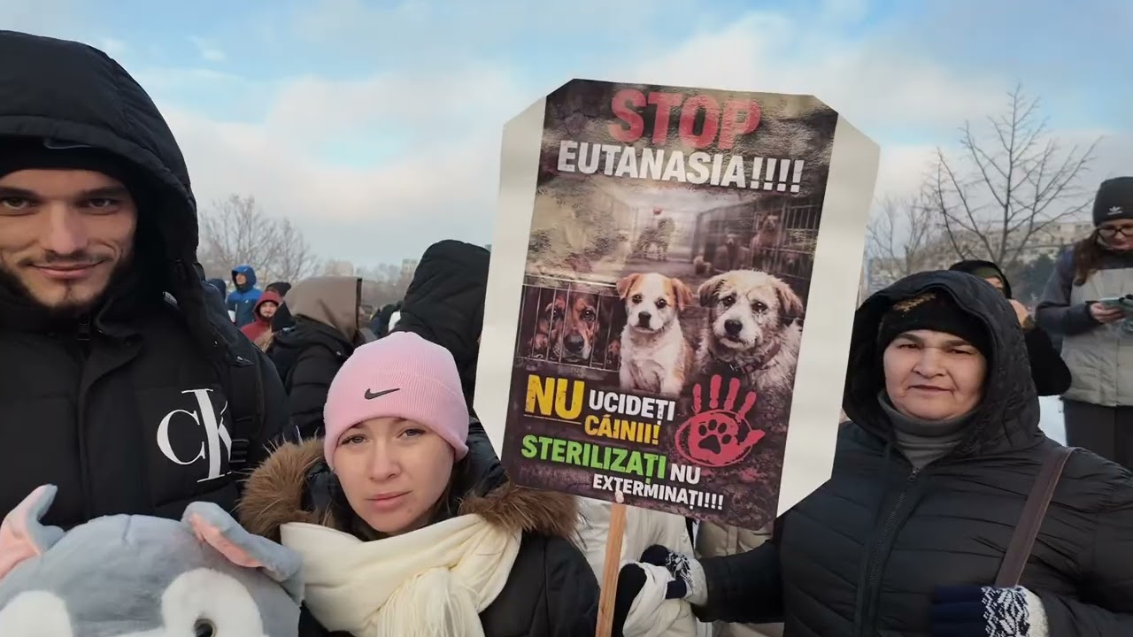 Din mijlocul Protestului împotriva cruzimii asupra animalelor București 2026 | needitat / nefiltrat