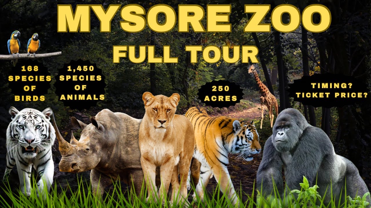 Exploring the Wonders of Mysore Zoo: A Wildlife Adventure! | Sri Chamarajendra Zoological Gardens