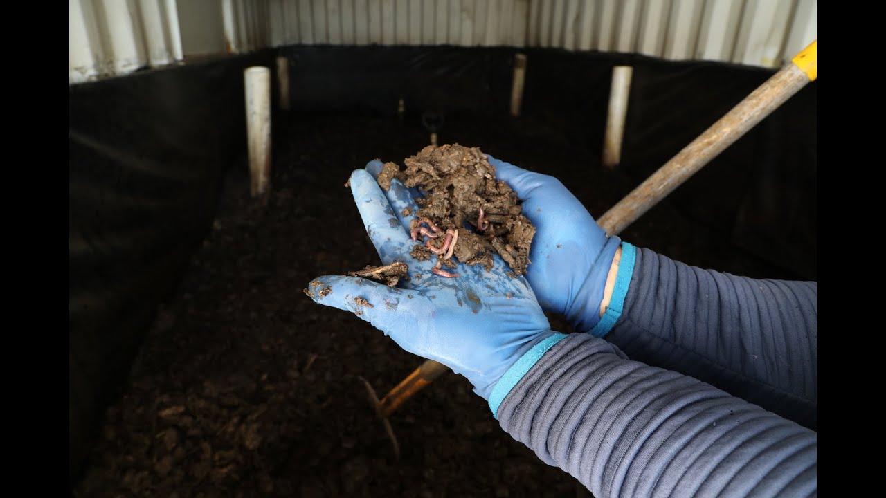 How worms help mitigate dairy methane emissions