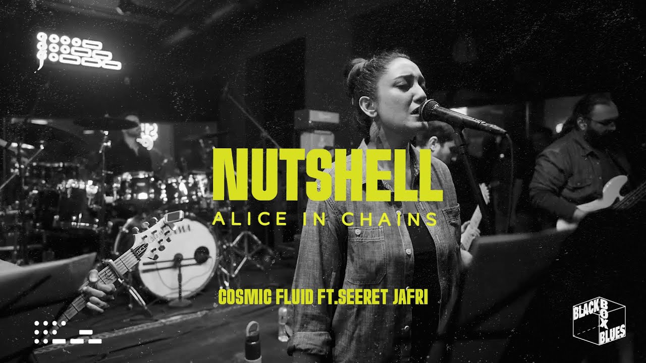 Nutshell (Alice in Chains) | Cosmic Fluid Feat. Seeret Jafri | Black Box Blues Grunge Edition