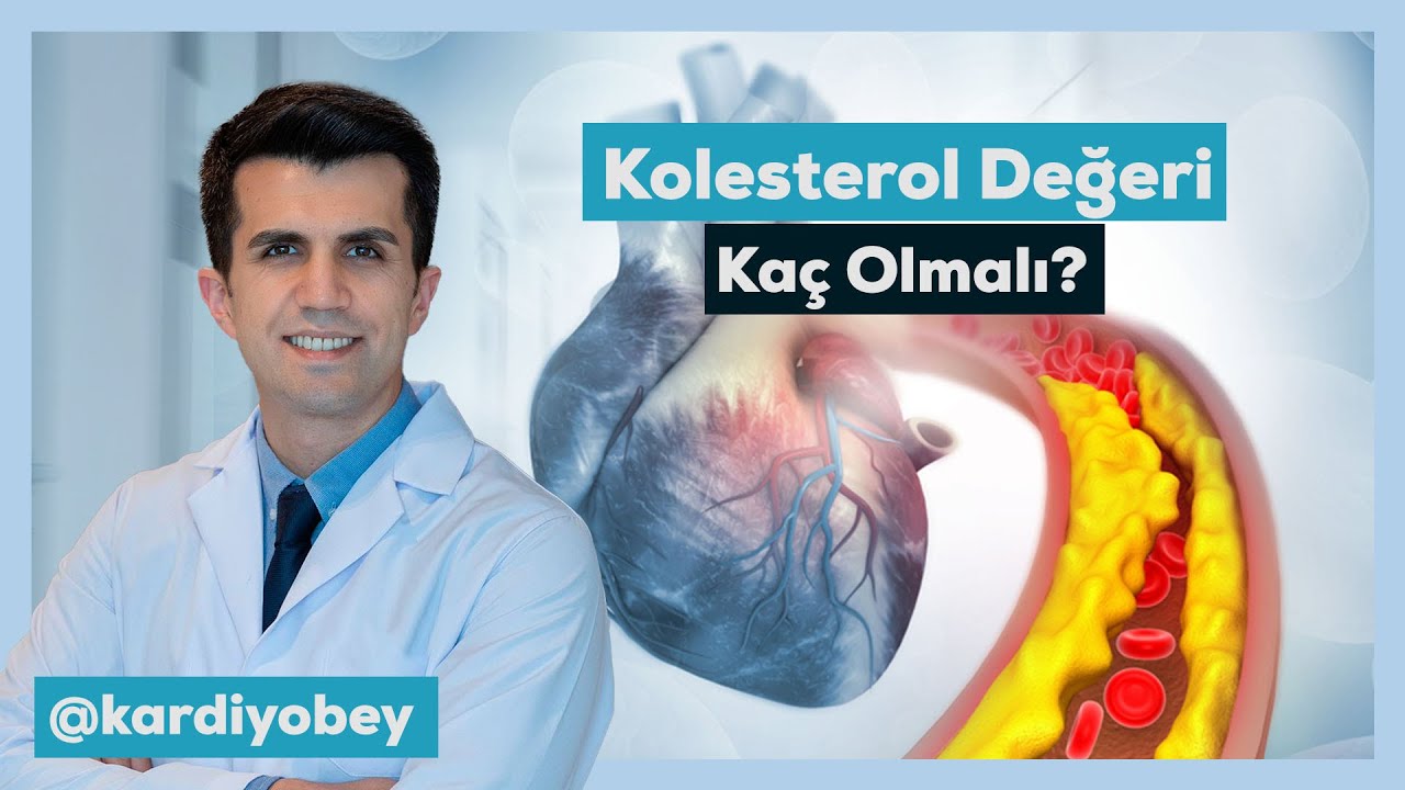 Kolesterol Değerleri Nasıl Olmalı? İzleyin ve Değerlerinizi Kontrol Edin!