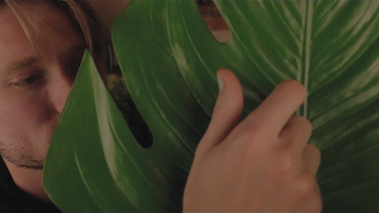 ASMR with The Big Green Leaf (No Talking, Layered, and Looped)
