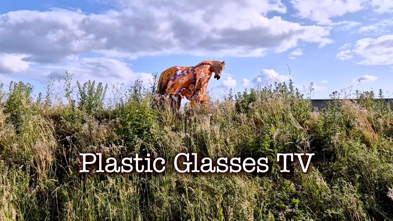 Plastic Glasses TV (Official Video)