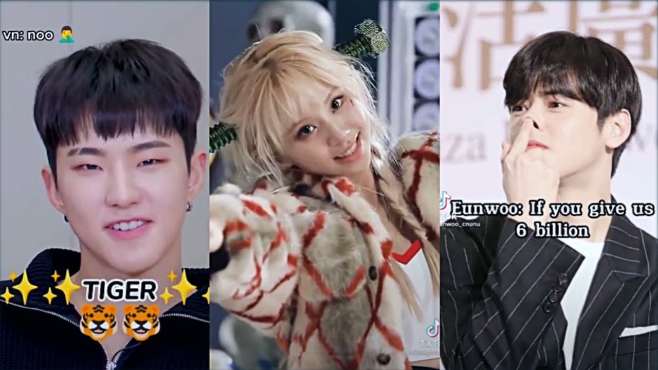 kpop tiktoks because woozi is tired of hoshi's tiger agenda