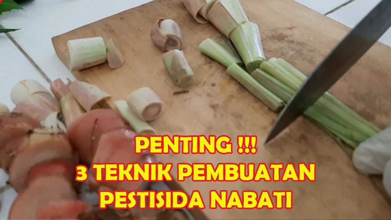 Simak 3 Cara Membuat Pestisida Nabati