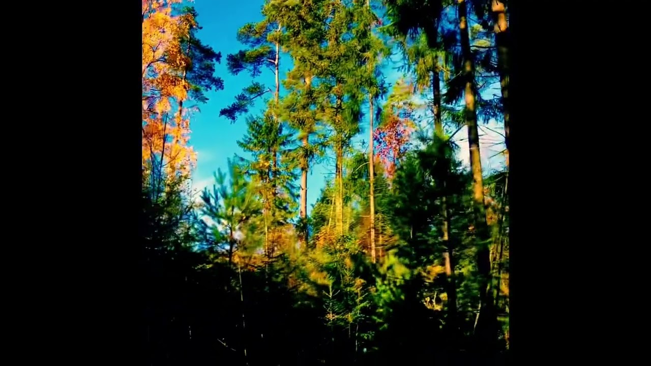 Gryningsglöd