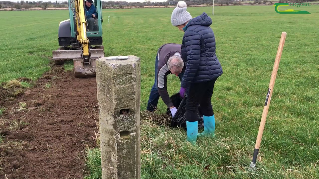 How to plant a hedge - Hedgerow Week 2020