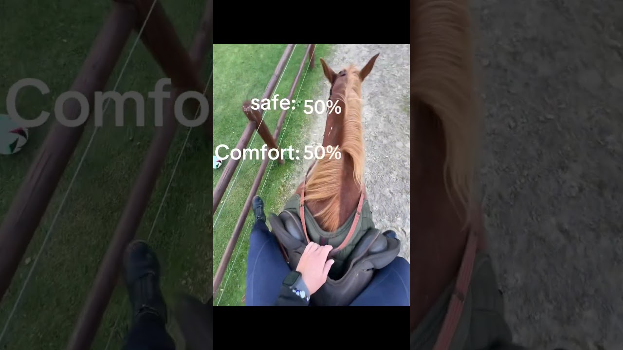 ￼￼ if you know you know #horse #equestrian #cute #pony #pretty #riding #s&oslash;d #horseriding #love ￼