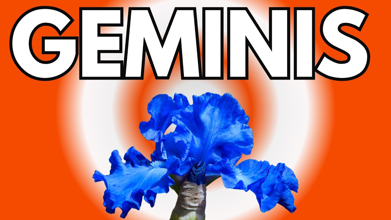 GEMINIS  UNA NOTICIA TE VA A SACUDIR ‼️LLEGA UNA VICTORIA ECONOMICA💰‼️ ALGUIEN TE OCULTA ALGO .