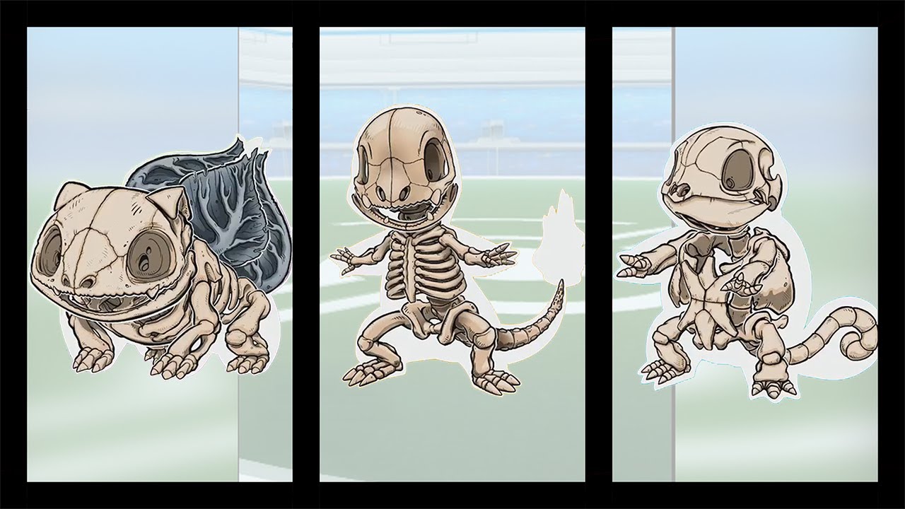 Skeletons of 151 Pokemons |Best Pokemon|