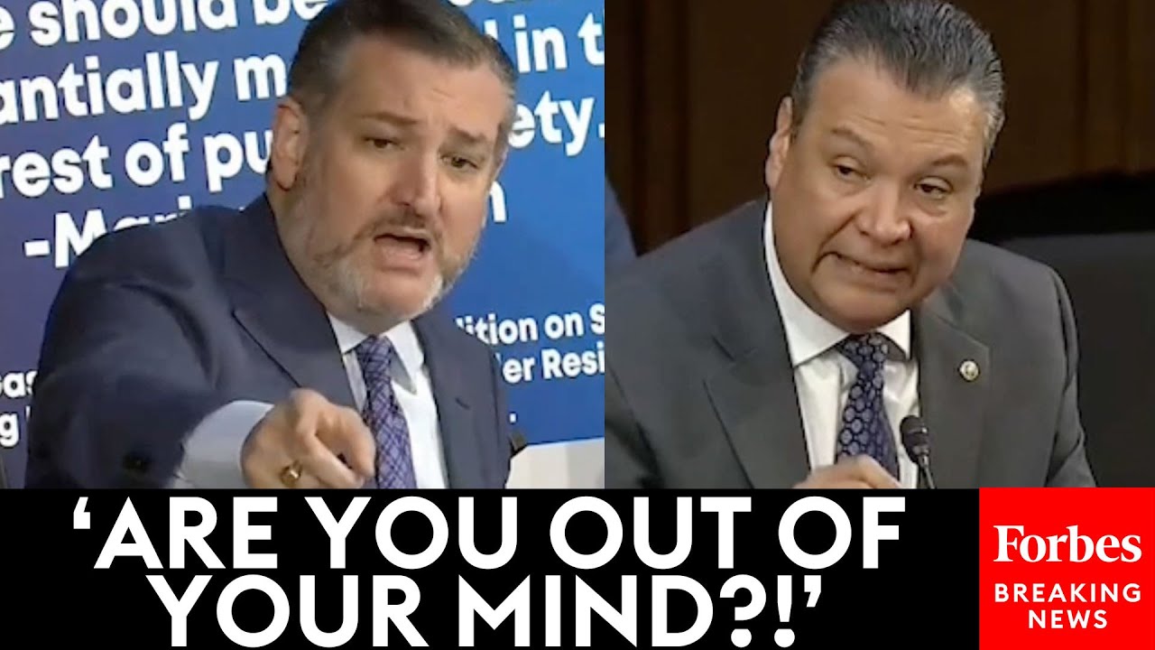 JUST IN: Ted Cruz Openly Explodes On His Dem Colleagues For Biden's 'So Amazingly Unqualified' Noms