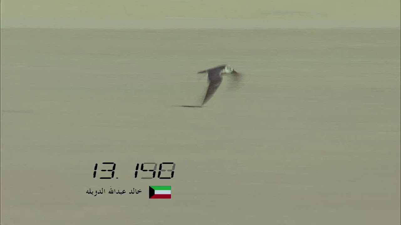 الموروث الشعبي / الملواح
