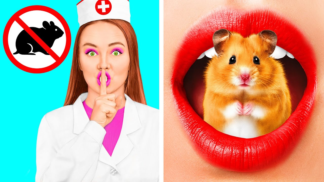 Lustige Wege Haustiere Ins Krankenhaus zu Schmuggeln | Lustige Challenges von Fun Fun