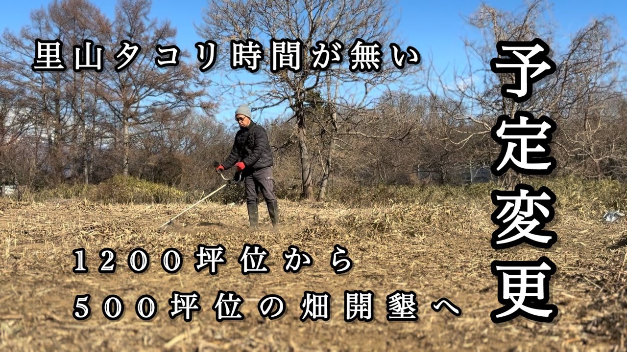 予定変更！1200坪位から500坪位の畑開墾へ！里山タコリ時間が無い…