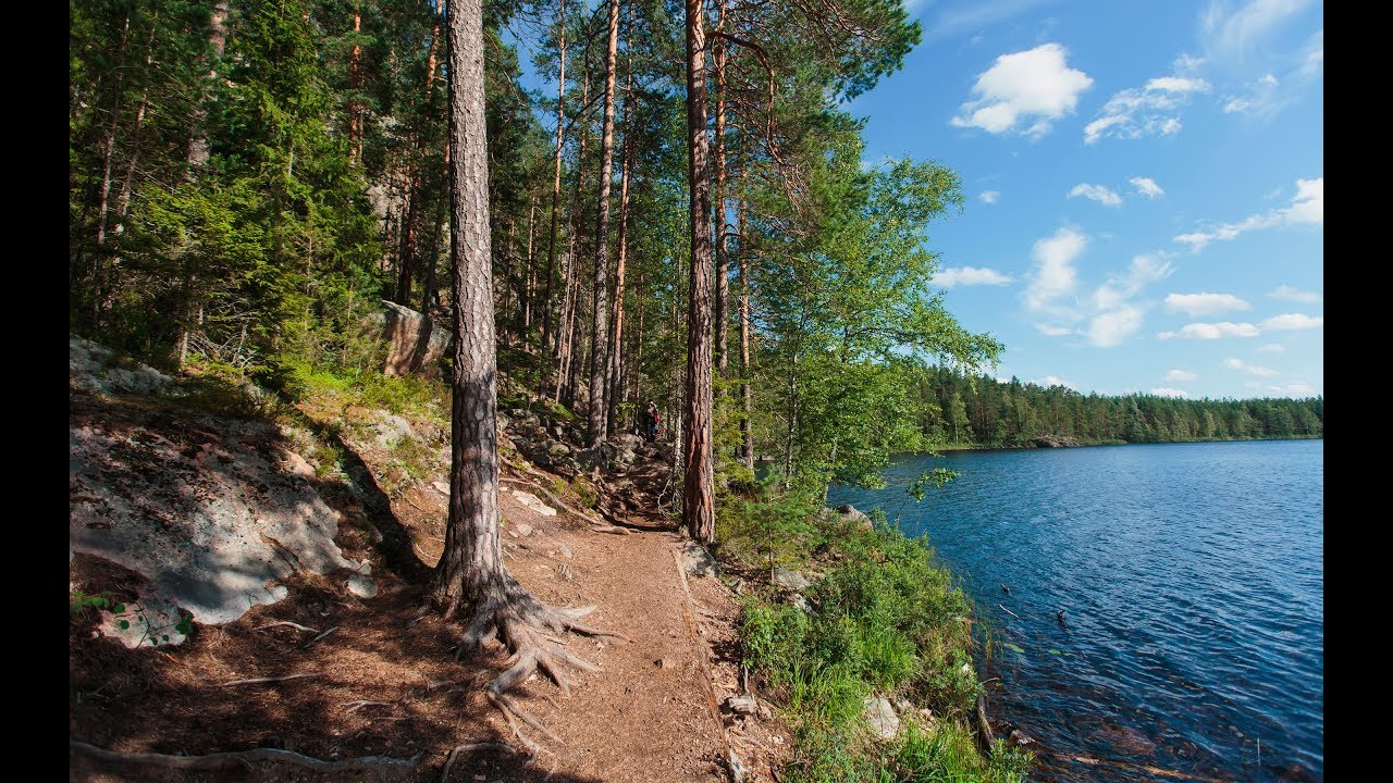 Jean Sibelius - Symphony No. 4 in A minor, Opus 63