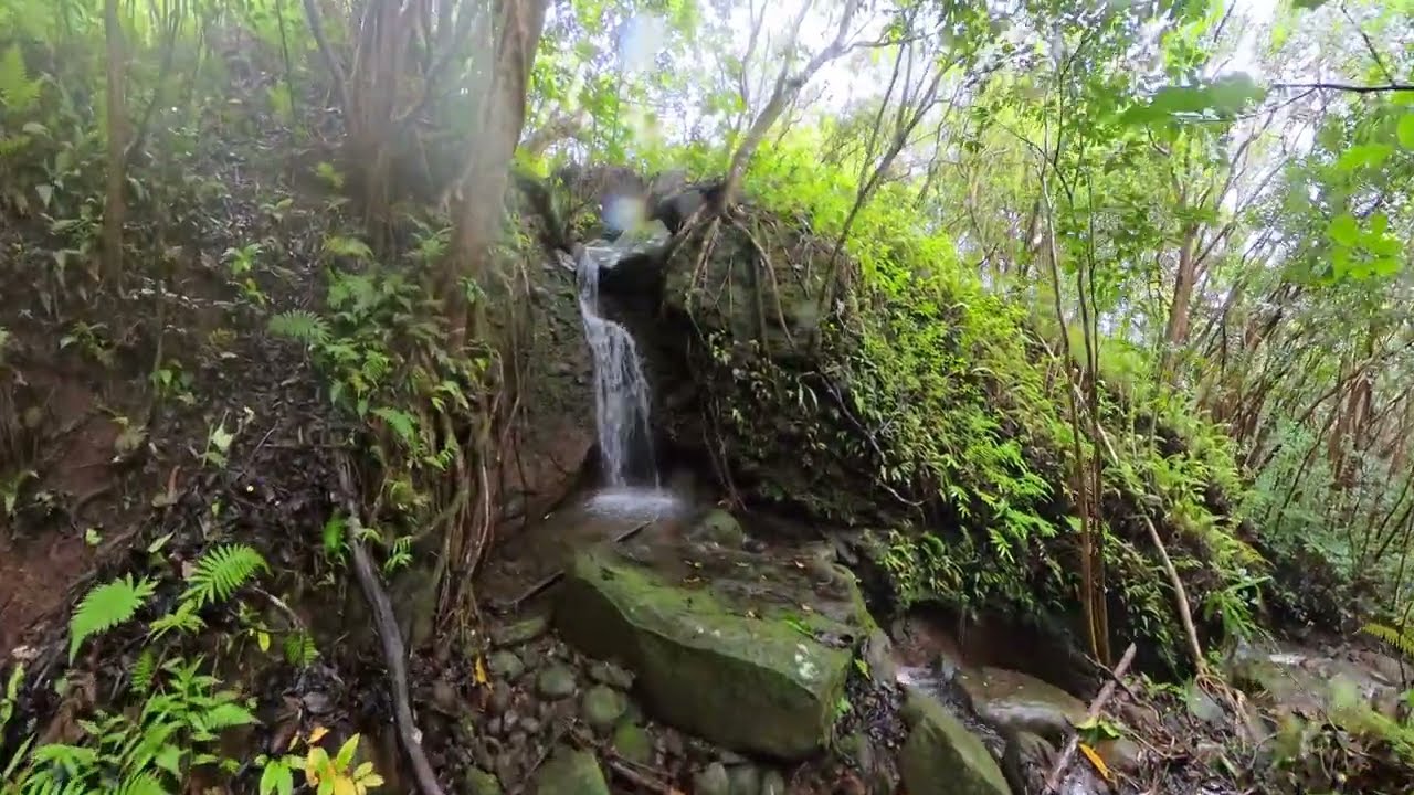 12-15-25 Chasing Waterfalls [4K]