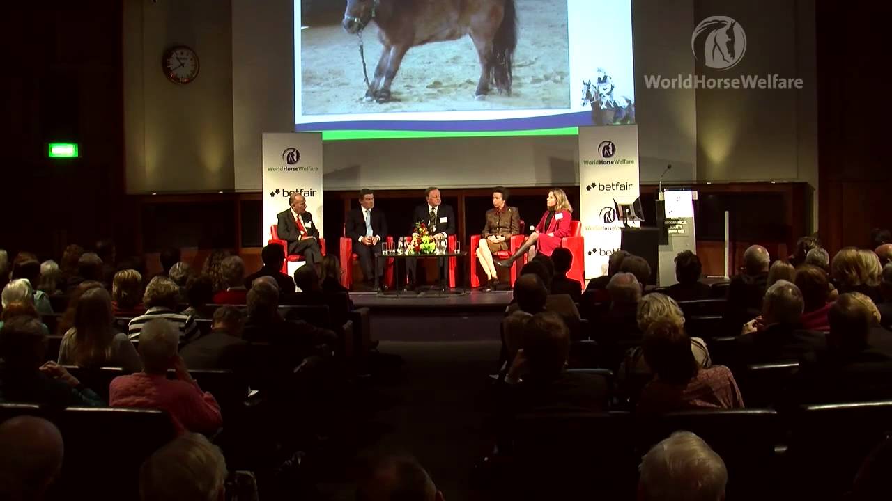 What justification is there for the prolonged veterinary management of conditions such as laminitis?