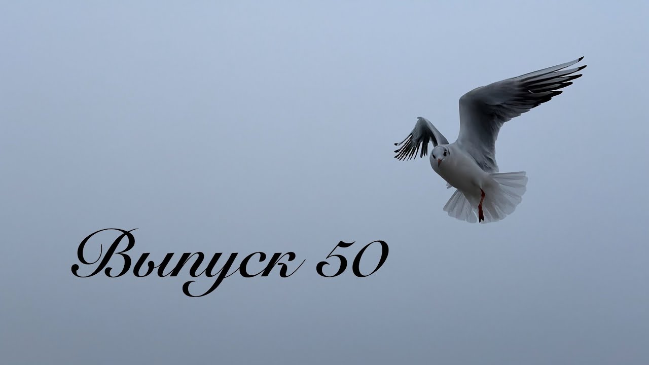Выпуск 50 Вышивальные итоги 2025. Финиши. Встреча вышивальщиц 14.12.2025
