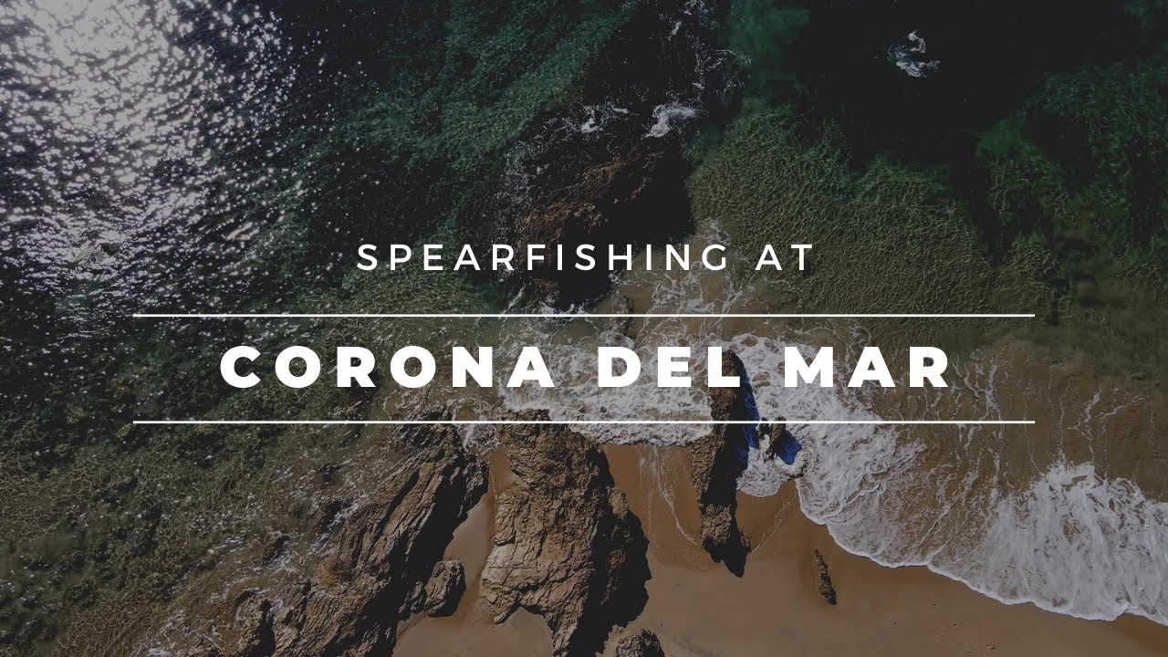 SpearFishing at Corona Del Mar