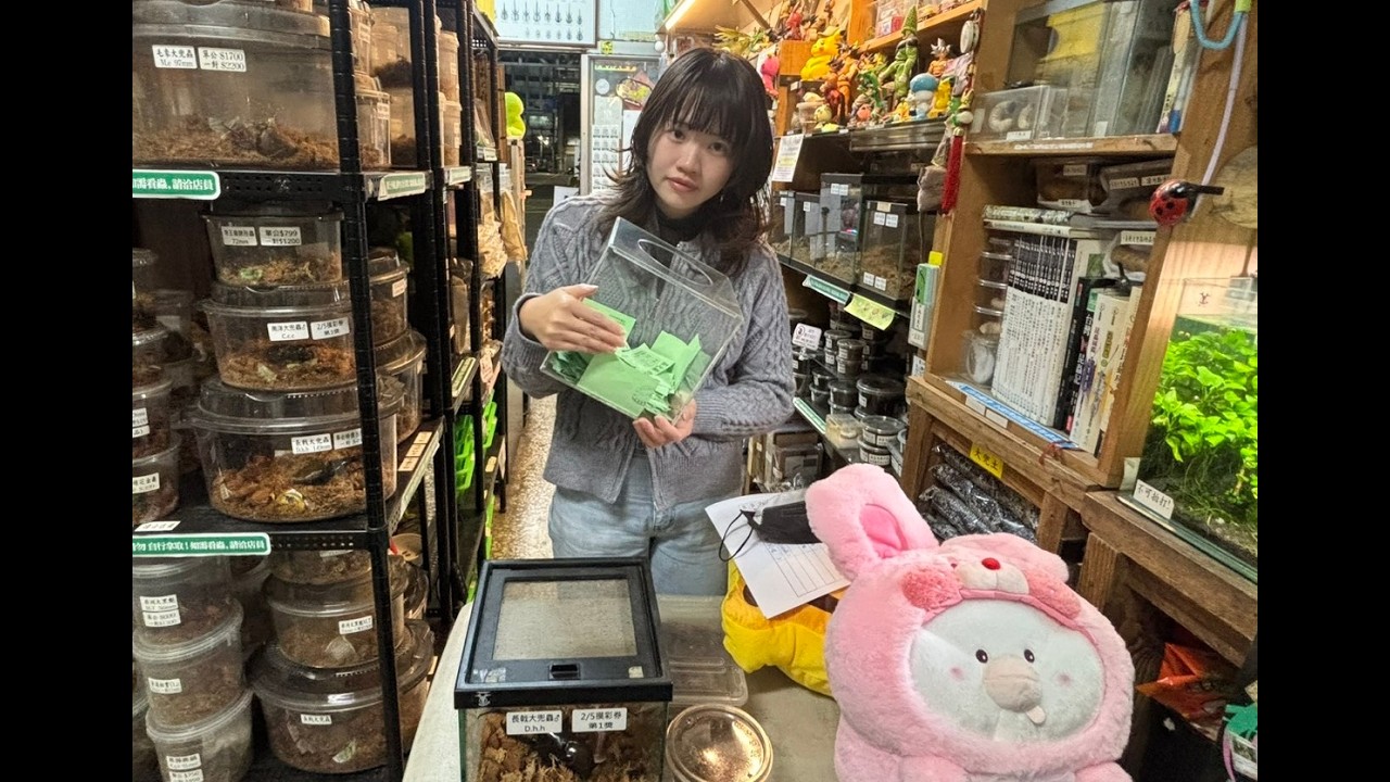 蟲之森的日常 2/5 摸彩券抽獎