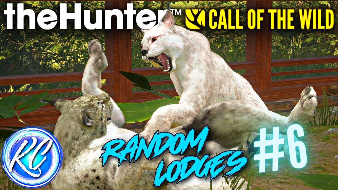 TWO SUPER RARE LYNX?! Touring the Most Incredible Wild Cat Lodge EVER in Call of the Wild