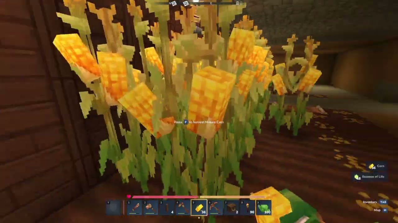 Hytale Heute Machen wir weiter im Pflanzenlager