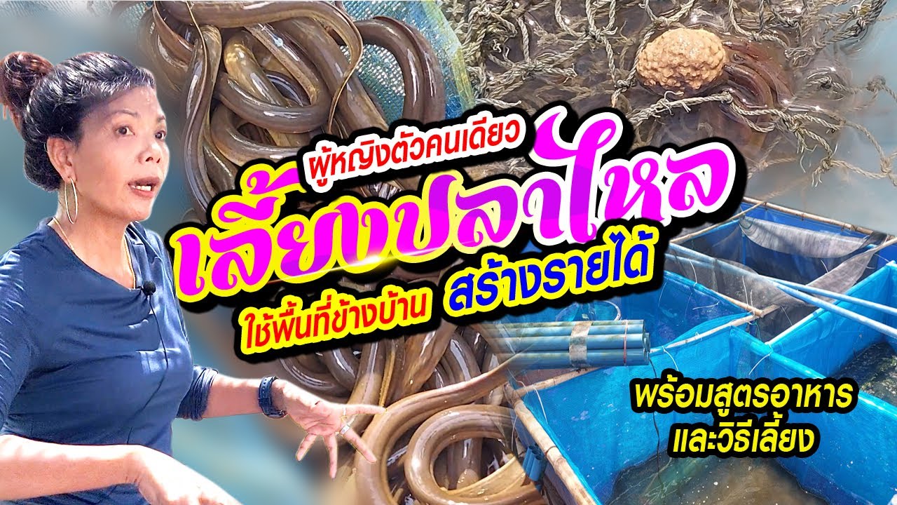 ผู้หญิงตัวคนเดียว เลี้ยงปลาไหล ใช้พื้นที่ข้างบ้าน สร้างรายได้