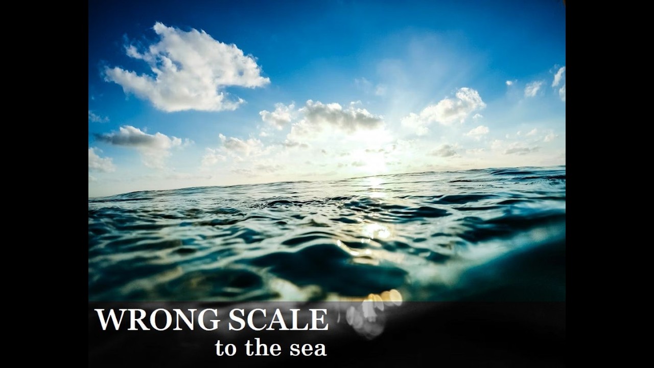 WRONG SCALE - to the sea（arranged cover）