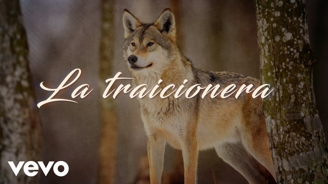 Los Temerarios - La Traicionera (LETRA)