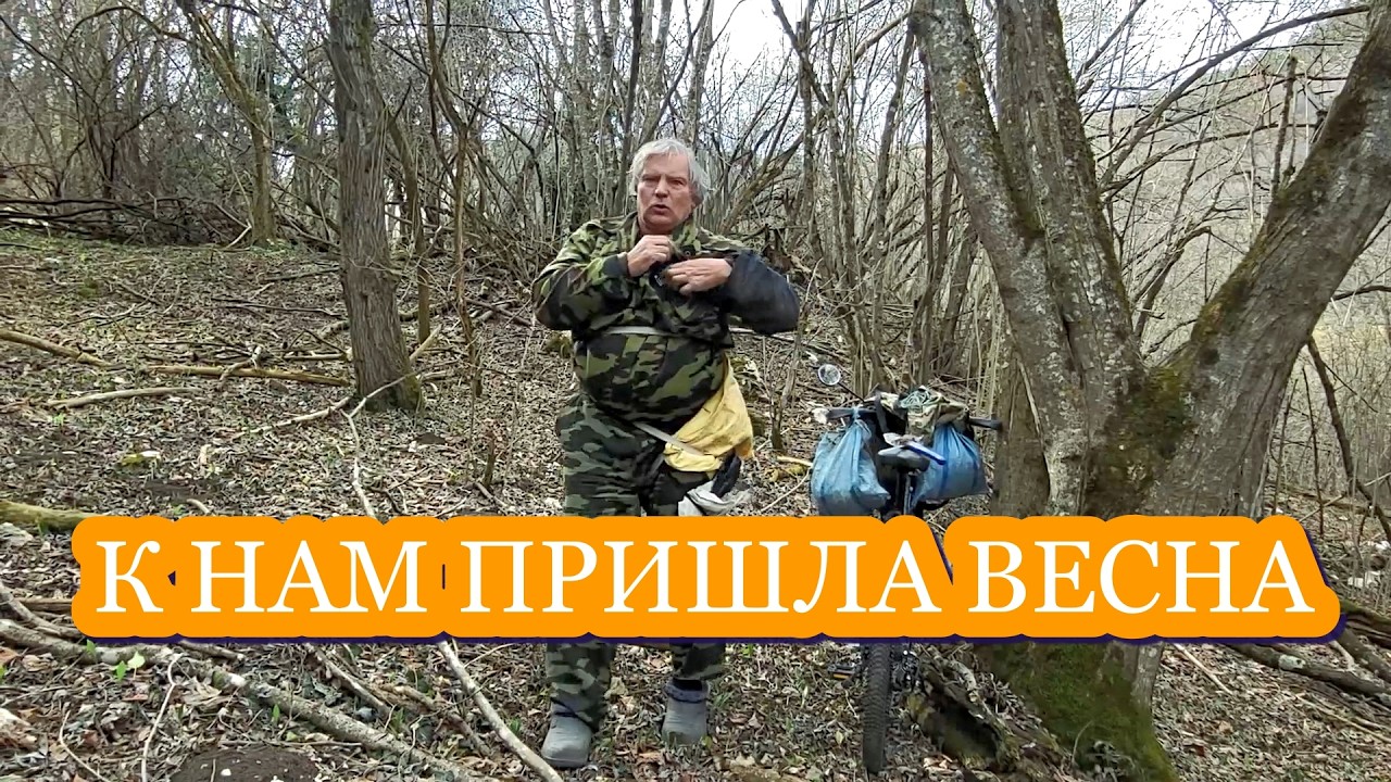 В Москве -30 градусов и снег В Псебае весна и море цветов Кавказ, Псебай, Туризм, Путешествия.