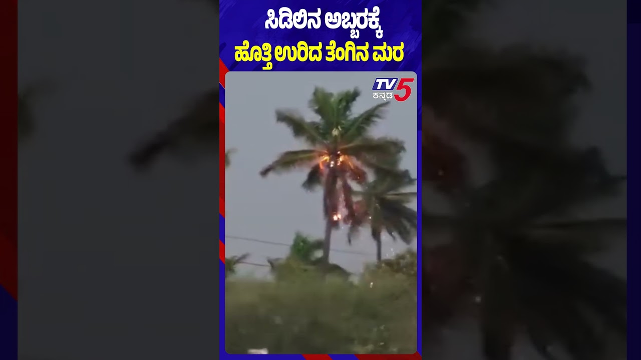 Thunderstorm Causes Tree Fire In Bagepalli ಸಿಡಿಲಿನ ಅಬ್ಬರಕ್ಕೆ ಹೊತ್ತಿ ಉರಿದ ತೆಂಗಿನ ಮರ