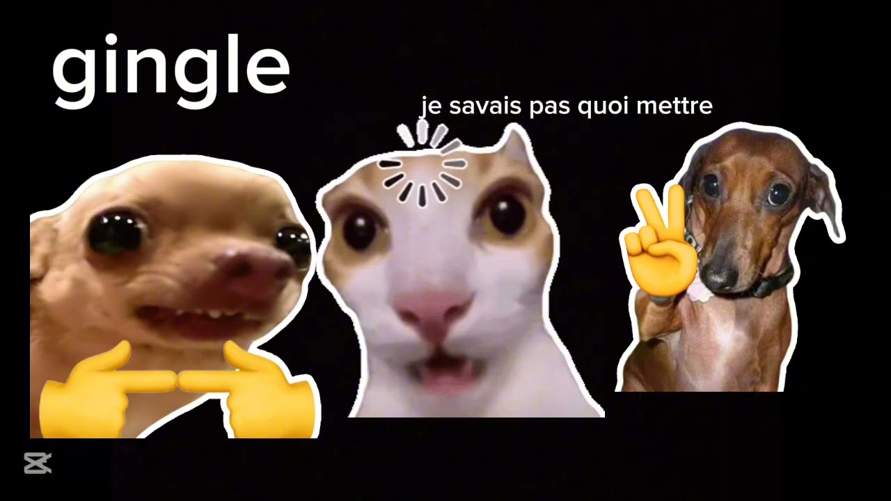 3 tier list pokémon dessin anime et kinder