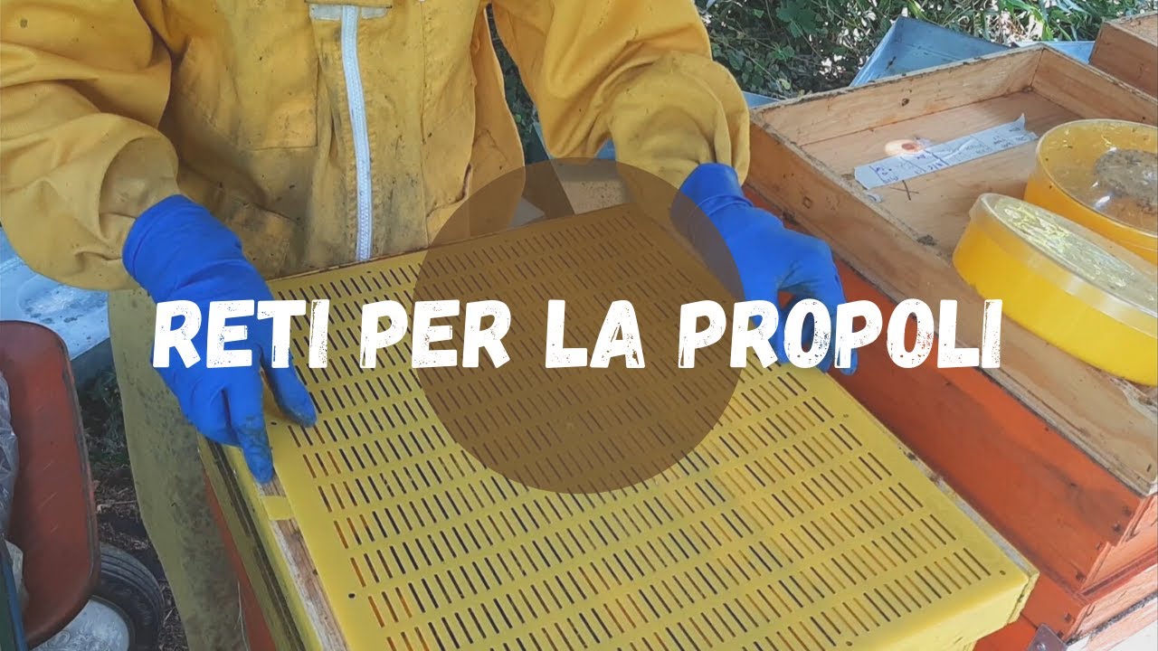 APICOLTURA: reti per la propoli