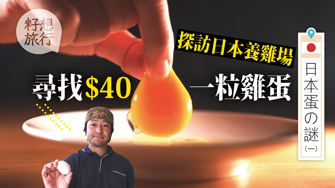 日本蛋の謎1：$40一隻日本蛋如何煉成 蛋黃超濃用手都拎得起 #日本蛋の謎 (果籽)