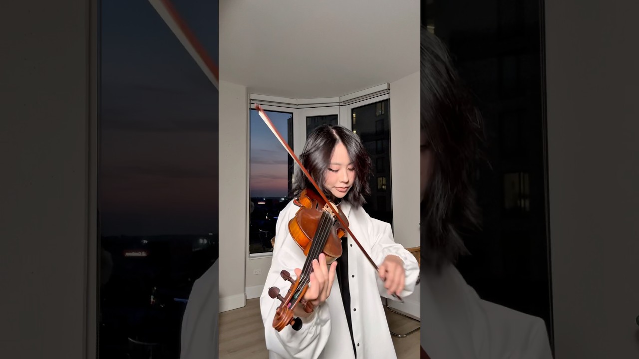 Violin is back 🤍