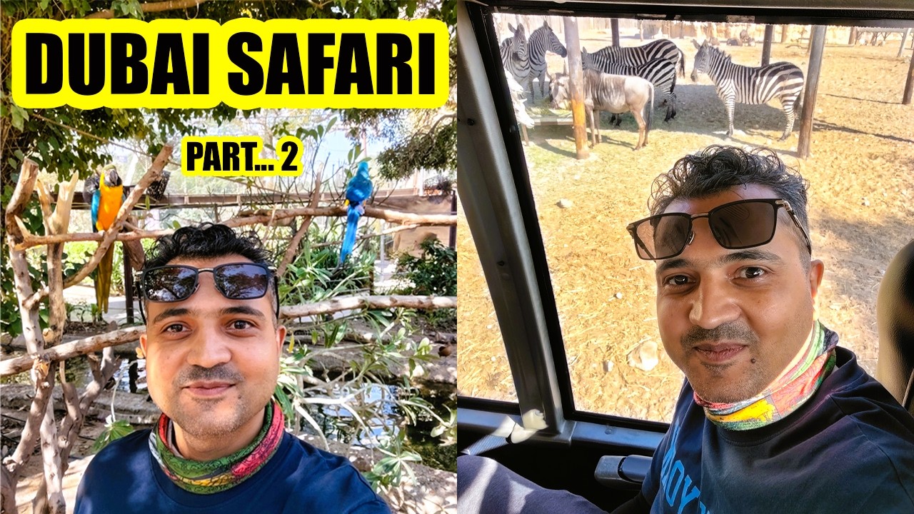 Safari Adventure Continues 🦁 | Dubai Wildlife Vlog (Part 2)