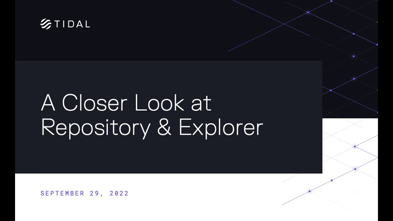 A Closer Look at Repository and Explorer